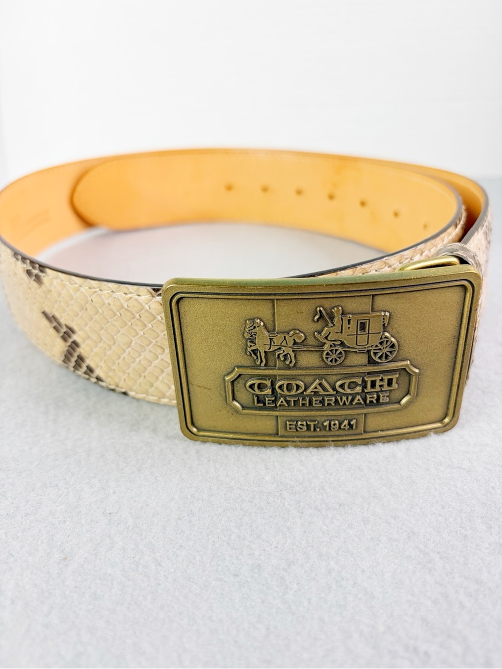 Coach Horse And Carriage Signature Python Belt Brass Buckle Women’s Size 39”